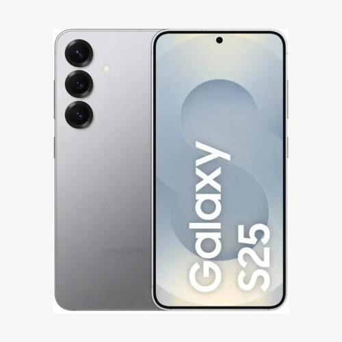 Samsung Galaxy S25 5G Silver Shadow